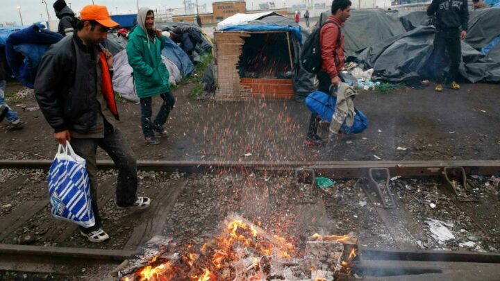 Calais : une association réceptionne un don de 20 tonnes de bois de chauffage pour les migrants