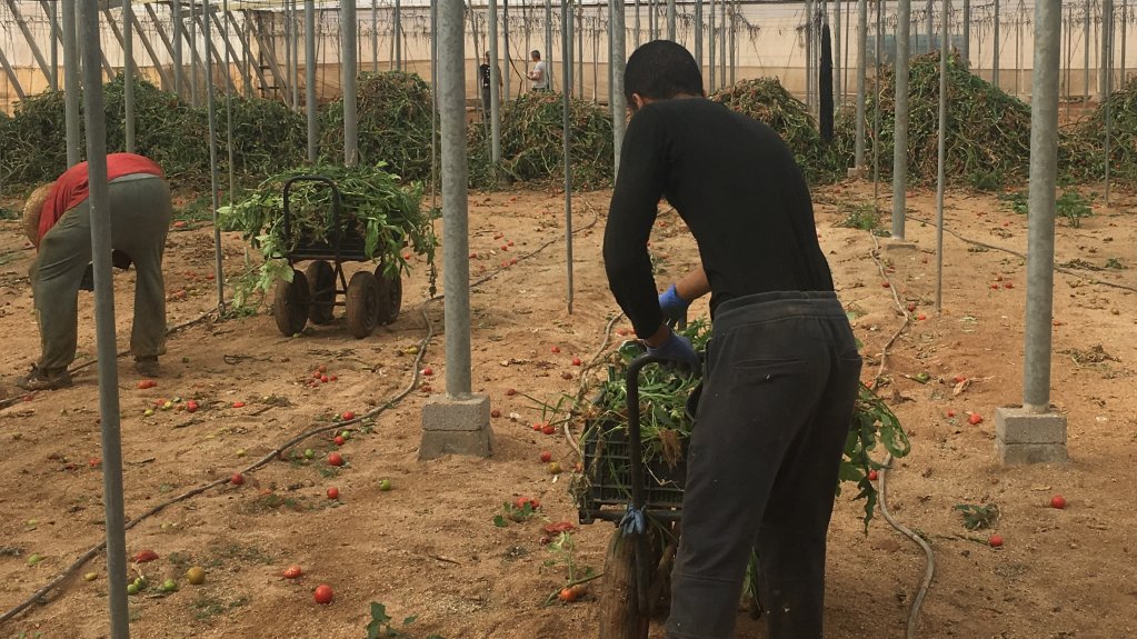 L’Espagne adopte une nouvelle loi permettant à des milliers de migrants d’intégrer le marché du travail