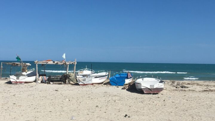 les corps de trois migrants retrouvés sur les côtes tunisiennes